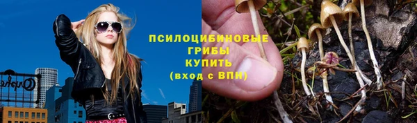 spice Алексин