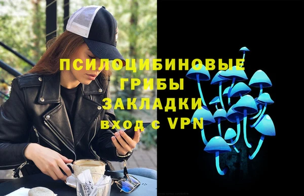 spice Алексин